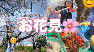【お花見🌸】桜と鳩と赤ウインナー🌸🐦🐙