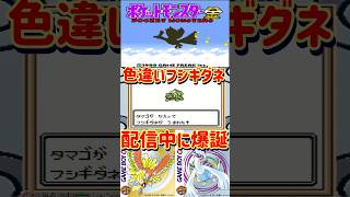 【ポケモン金銀】配信中に色違いフシギダネ爆誕！【#色違い厳選#shorts 】