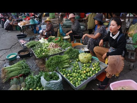 Walk Around Street Food Market @Kandal Market - Evening Daily LifeStyle of Vendors in Town Market