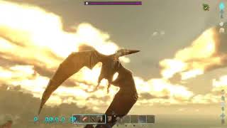 ArK/AsA🎮アイランド🏝️ちょこ🍫とサバイバル生活🦕🎶