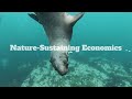 Nature-Sustaining Economics: The Dasgupta Review:   Backed by David Attenborough