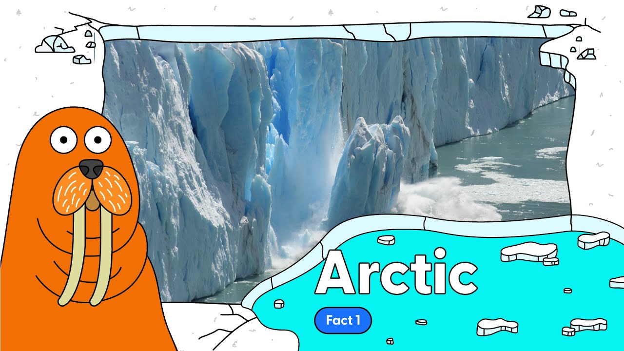 Arctic Fact 1