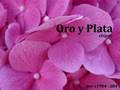Oro y Plata 