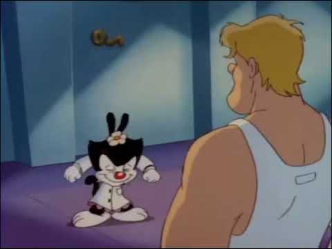 Hola enfermero recuerdos de Animaniacs