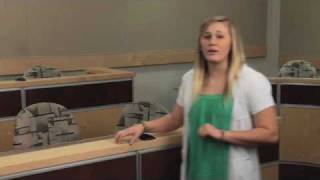iCivics Judicial Branch Video