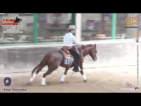 3 tappa TRHA 2024 - VESPESIANI MATTEO & BQH CHEX STAR WHIZ score 71