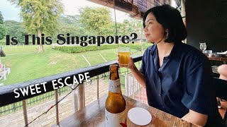 Download lagu Hidden Cafe In Singapore (Dining with Horses) #asmr #wheretoeatSg#vacation #FarmCafe mp3