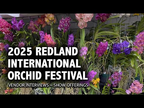 Redland International Orchid Festival 2025 | Experience One of the Largest Orchid Shows in the USA!