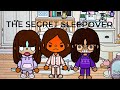 THE SECRET SLEEPOVER WITH VOICE Toca Boca Roleplay