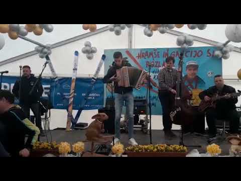 OB KONCU TEDNA - HARMONIKA TIMI ZAJC - PLAZNIK STIMA