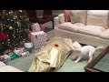 Kerstcadeau