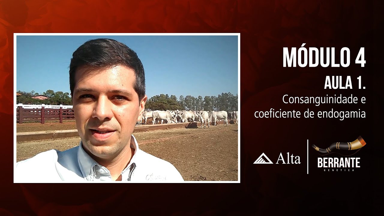 Consanguinidade e coeficiente de endogamia - Berrante Genética