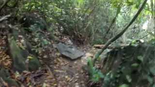 preview picture of video 'Koh Rong jungle walk Part #3'