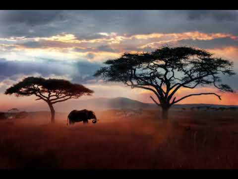 Africa group. TOA Luau