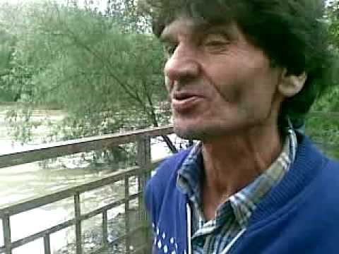 Magányos farkas-katasztrófaelhárítás