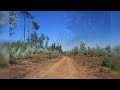 Tour Virtual