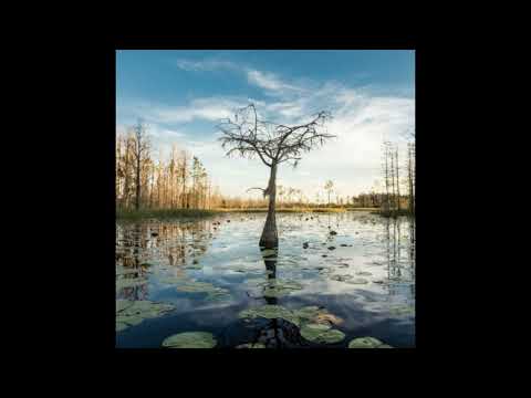 Nate Sassoon - i don't want to bring you down