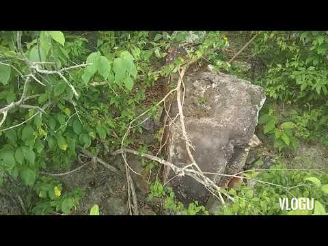 a lenda do apicultor