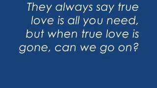 Madina Lake True Love lyrics