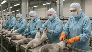 Шокирующие Секреты Заводов, От Которых Мурашки По Коже!