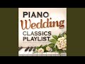 Your Song