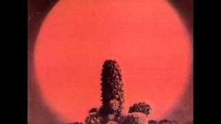 Cactus - You Can&#39;t Judge a Book by the Cover