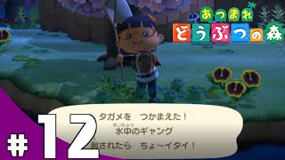 【きまぐれ】あつまれどうぶつの森を皆さんと一緒にやってみた #12【実況】