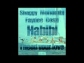 HABIBI (I need Your love) - SHAGGY MOHOMBI ...