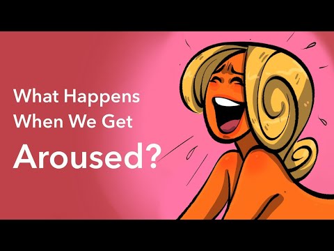 What Happens To Our Body Before We Have Sex?
