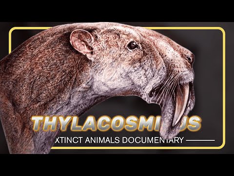 WARNING The Truth About Thylacosmilus You Never Knew  | Extinct Animals Documentary