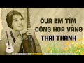 Đưa Em Tìm Động Hoa Vàng (Phạm Duy - Thơ: Phạm Thiên Thư) - Thái Thanh