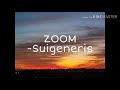 Suigeneris ZOOM Lyrics