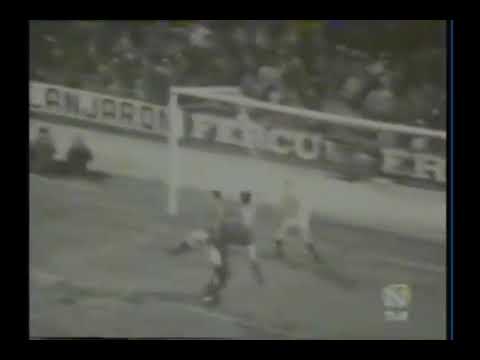 EURO-1972. Qualifiers. Group 4. Spain - Northern Ireland - 3:0. Highlights.