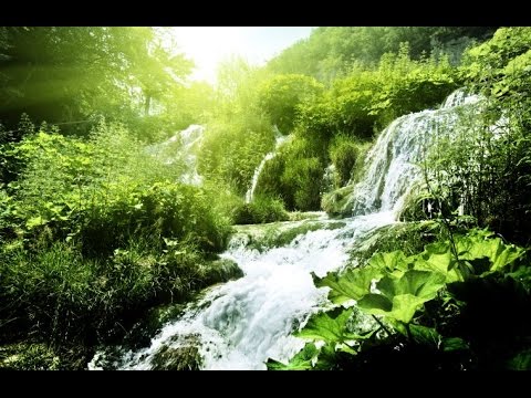 Healing Meditation Music, Relaxing Music, Calming Music, Stress Relief Music, Peaceful Music, ☯2770