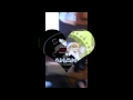 28 Videos