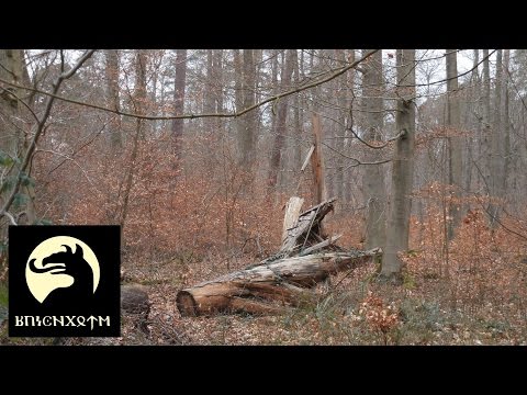 Waldgote Outdoor: Kienspan aus dem Wald - Teil 2