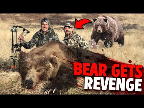 This Kodiak Bear Gets Revenge on Two Hunters! (Animals Gone WRONG)