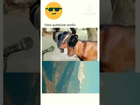 बकरा! bakra song, real, original voice, just play, bakra 🎵