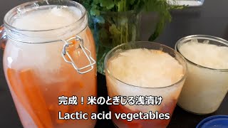 Gut-Witch recepe: Lactic acid vegetables 腸活用浅漬けレシピ