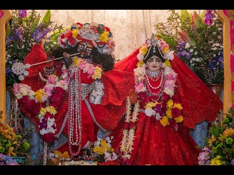 Janmastami 2019 | ISKCON Melbourne Mahaprabhu Mandir