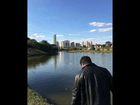 casamento tô fora (Arrocha/forró)