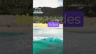 you didn't knew this about TIDES 🌊 😲#like  #facts #shorts