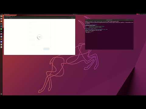 Video Screen Record in Action