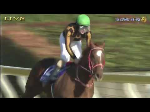 2020 JRA February Stakes Eɴɢʟɪsʜ Rᴀᴄᴇ Cᴀʟʟ