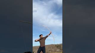 Maple Longbow: From Tree to Bow #shorts