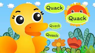 Five little duck went out one day // KidsMeSong