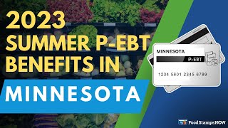 2023 Summer P-EBT in Minnesota (Payment Update)