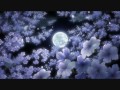 Highschool Of The Dead Trailer