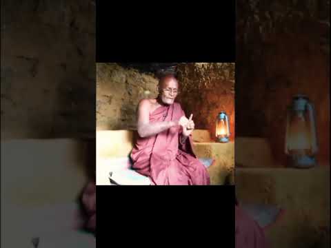 🤍🙏🙏🙏                                            #shorts #tending #buddha