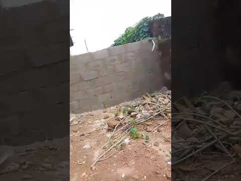 Half Plot of Land for Sale at Orisunbare, Idimu-Shasha, Alimosho, Lagos